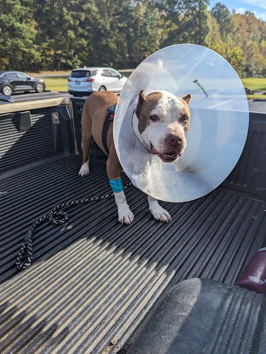 Kittrell Animal Hospital Picture 6