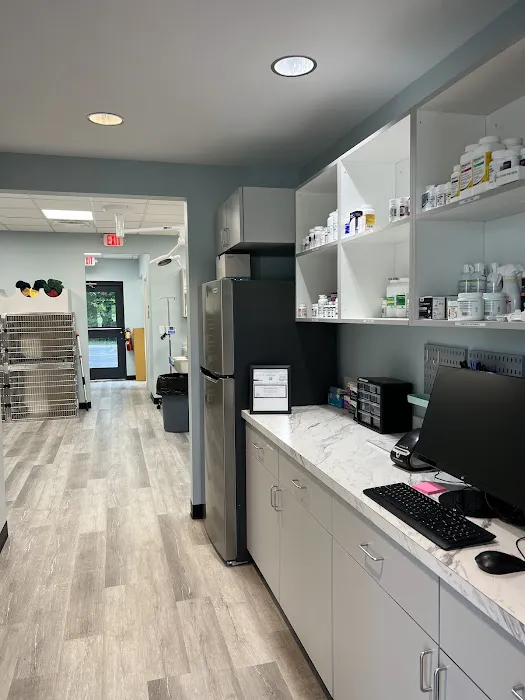 South Main Street Animal Hospital Picture 1