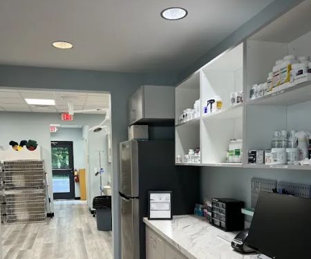 South Main Street Animal Hospital