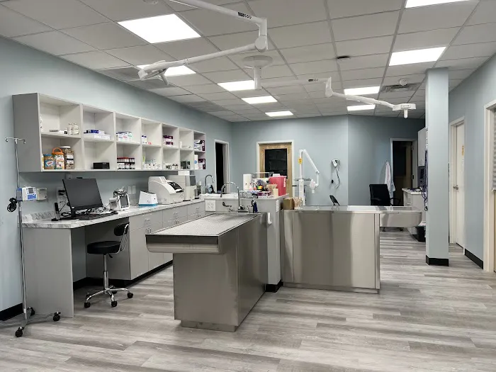 South Main Street Animal Hospital Picture 3