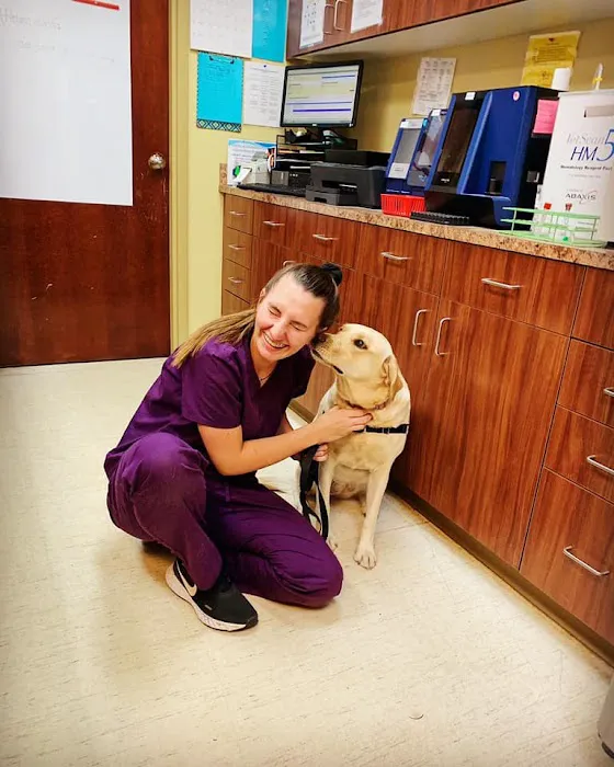 Tuscan Ridge Animal Hospital Picture 8
