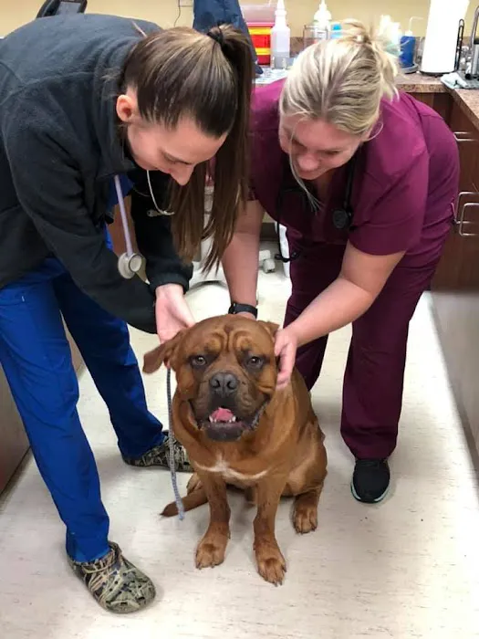 Tuscan Ridge Animal Hospital Picture 10