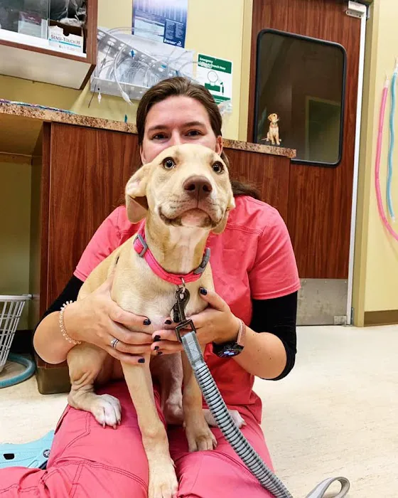 Tuscan Ridge Animal Hospital Picture 5