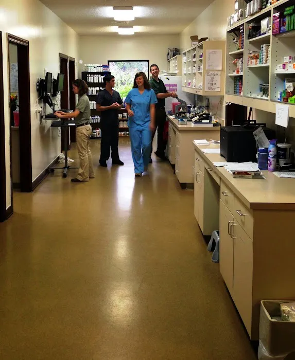North Wake Animal Hospital Picture 6