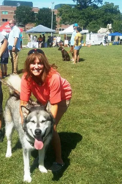 North Wake Animal Hospital Picture 3