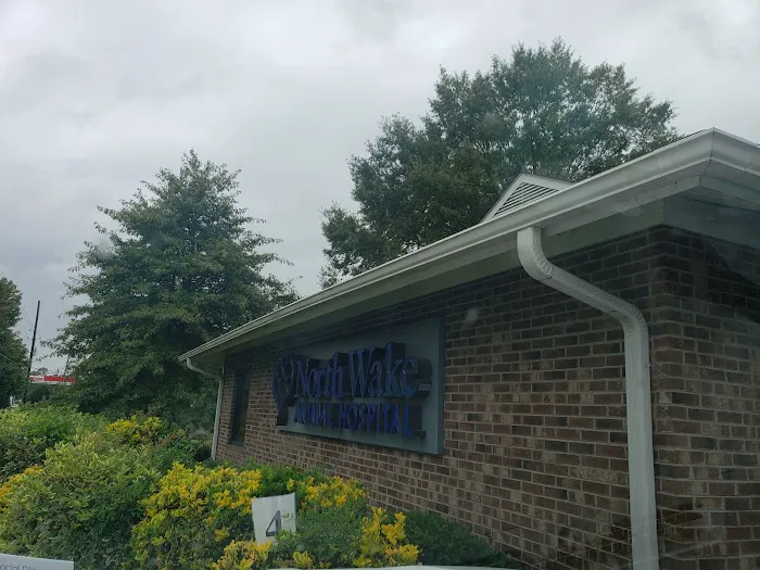 North Wake Animal Hospital Picture 1