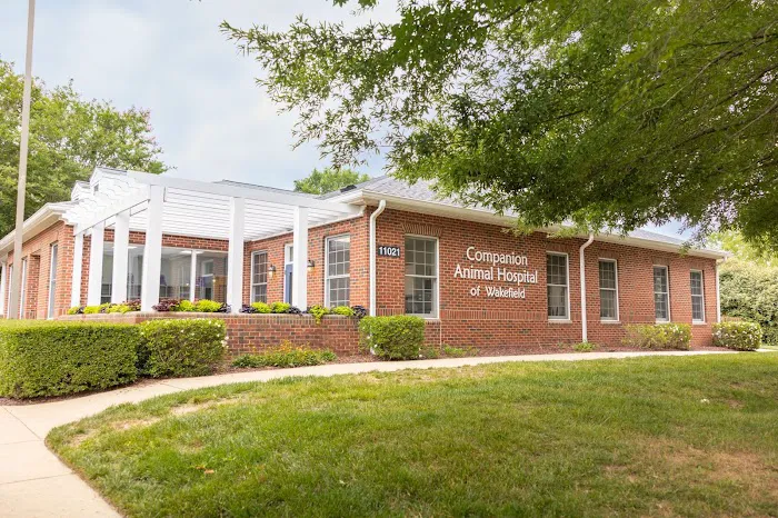 Companion Animal Hospital of Wakefield Picture 1