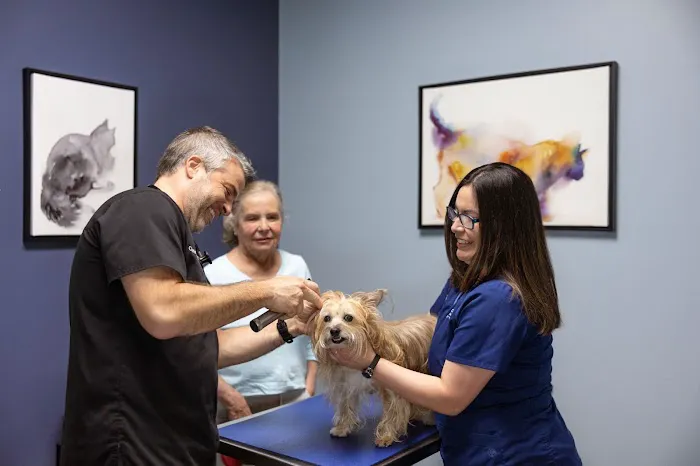 Companion Animal Hospital of Wakefield Picture 3