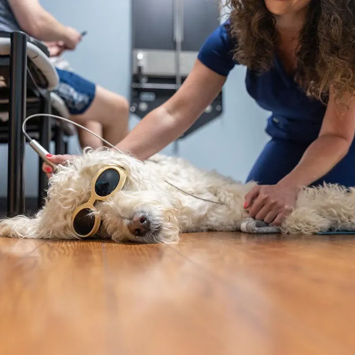 Companion Animal Hospital of Wakefield Picture 10