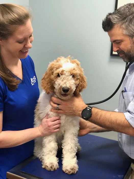 Companion Animal Hospital of Wakefield Picture 2