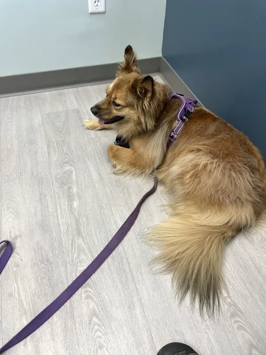 Wakefield Veterinary Hospital Picture 1