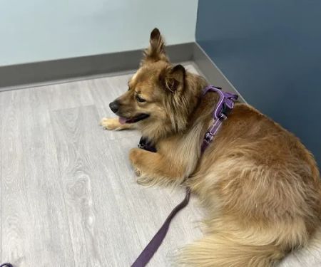 Wakefield Veterinary Hospital