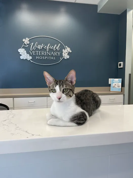 Wakefield Veterinary Hospital Picture 7