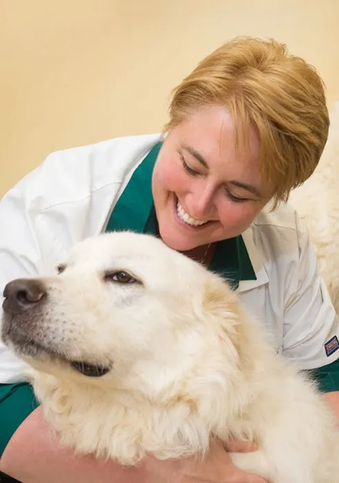 Falls Village Veterinary Hospital Picture 3