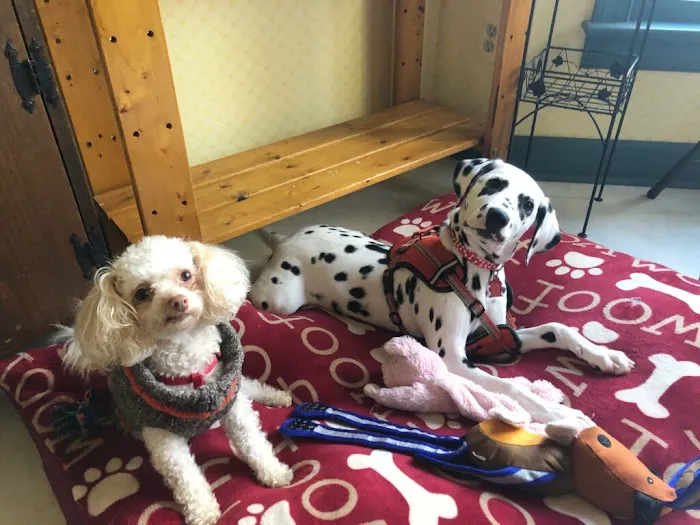 Falls Village Veterinary Hospital Picture 4