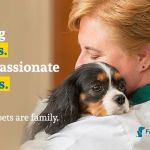 Falls Village Veterinary Hospital