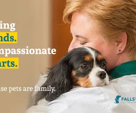 Falls Village Veterinary Hospital