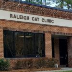 Raleigh Cat Clinic