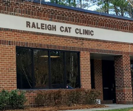 Raleigh Cat Clinic