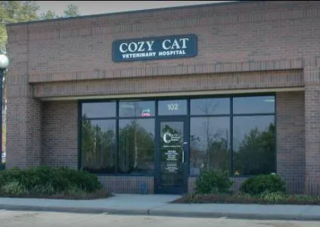 Cozy Cat Veterinary Hospital Picture 9