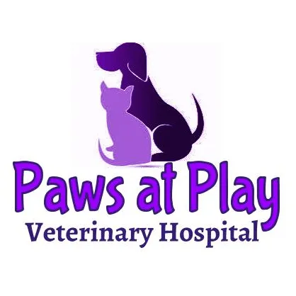 Paws At Play Veterinary Hospital Picture 9