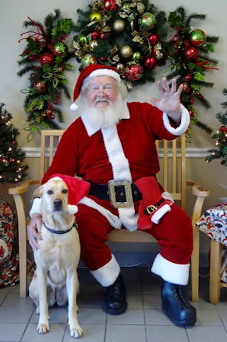 Hidden Valley Animal Hospital Picture 10