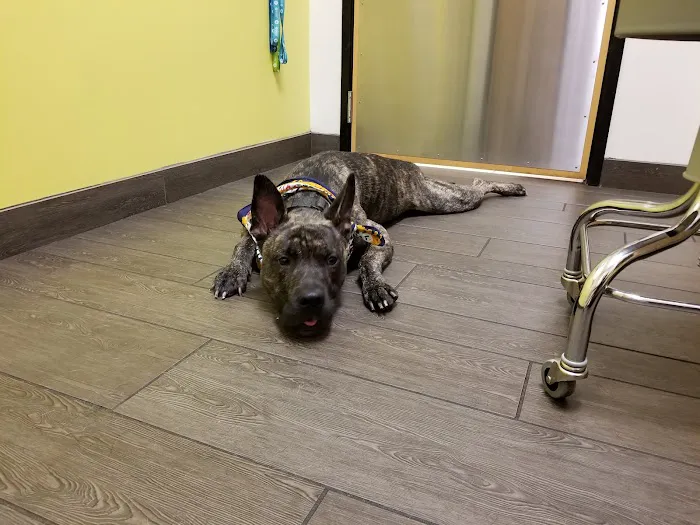 Banfield Pet Hospital Picture 4