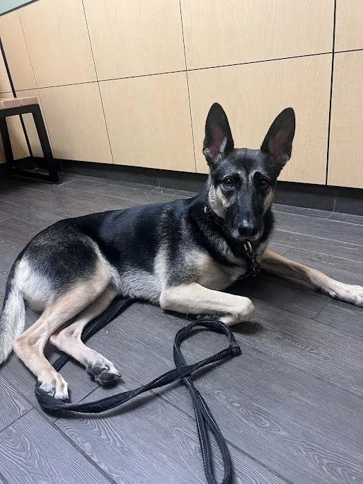 Banfield Pet Hospital Picture 8