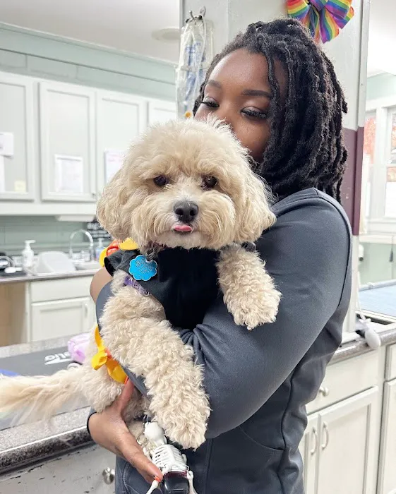 Creedmoor Road Animal Hospital Picture 1