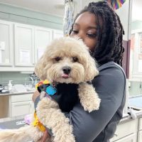 Creedmoor Road Animal Hospital ico