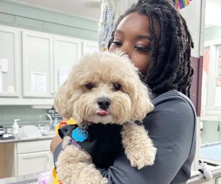 Creedmoor Road Animal Hospital