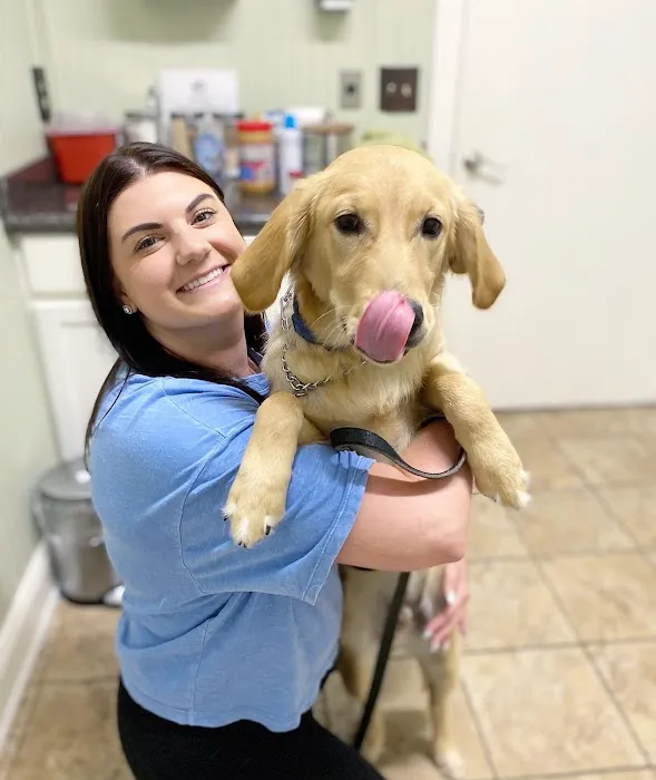 Creedmoor Road Animal Hospital Picture 3