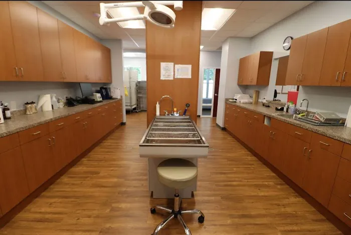Homestead Veterinary Hospital Picture 2