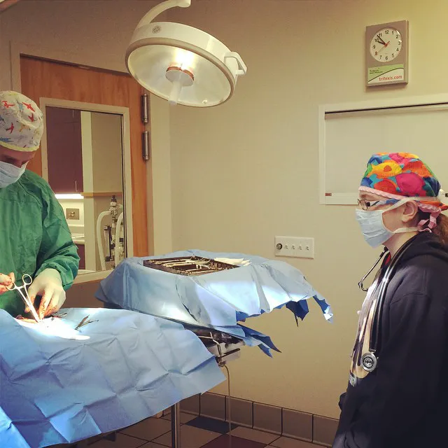 Care First Animal Hospital at Glenwood Picture 4