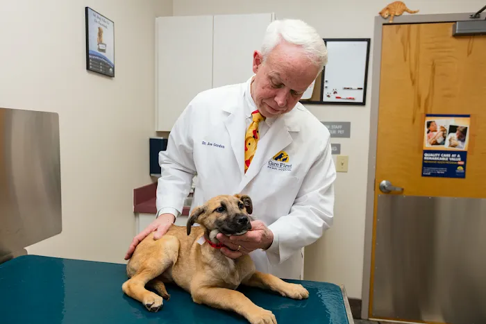 Care First Animal Hospital at Glenwood Picture 10