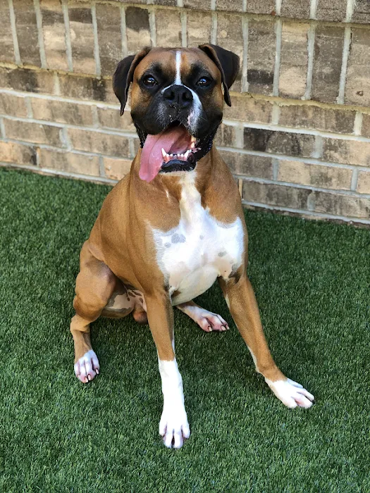 Shiloh Animal Hospital Picture 9