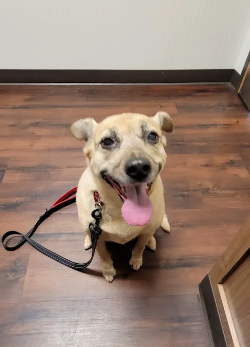 Shiloh Animal Hospital Picture 6
