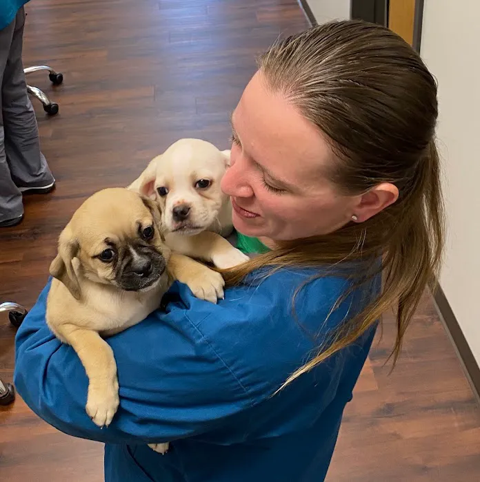 Shiloh Animal Hospital Picture 5