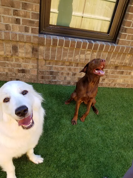 Shiloh Animal Hospital Picture 10
