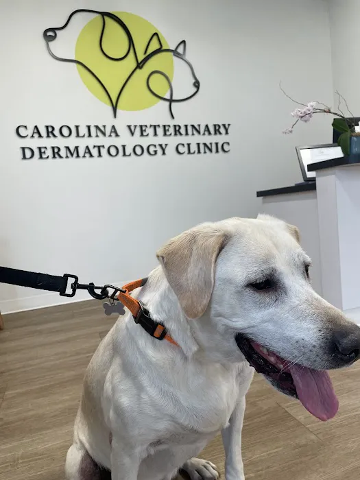 Carolina Veterinary Dermatology Clinic Picture 3