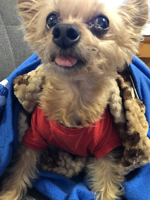Banfield Pet Hospital Picture 9