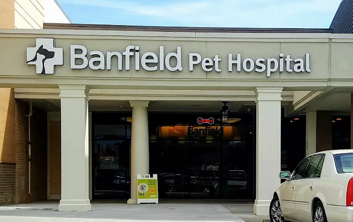 Banfield Pet Hospital Picture 5