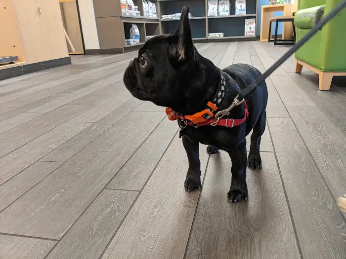 Banfield Pet Hospital Picture 3