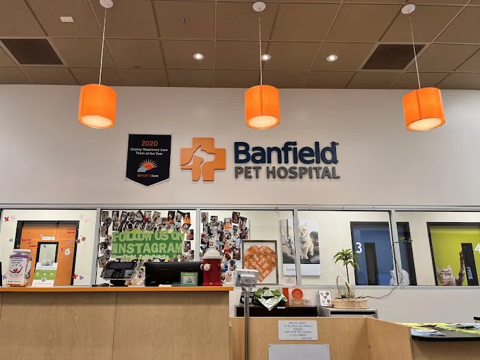 Banfield Pet Hospital Picture 6
