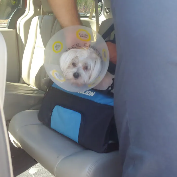 SAFE Care Spay Neuter Clinic Picture 3