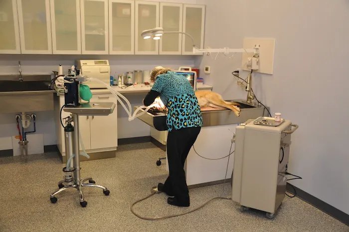 Purr & Bark VeterinaryHospital and Moblie Doctor Picture 2
