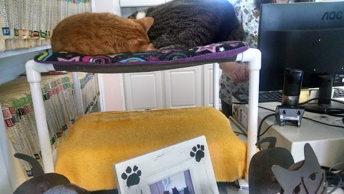 Fisher Veterinary Hospital Picture 4