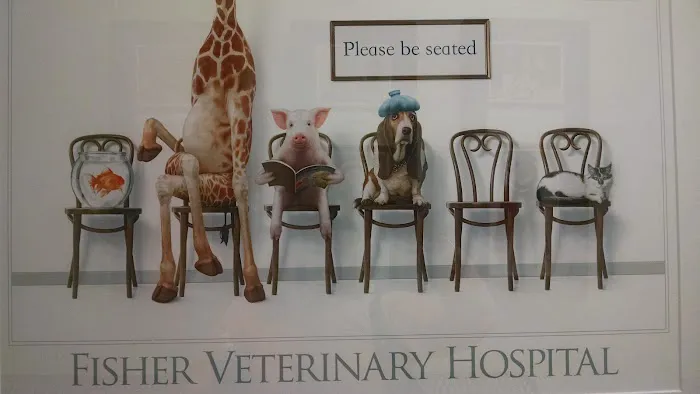 Fisher Veterinary Hospital Picture 3