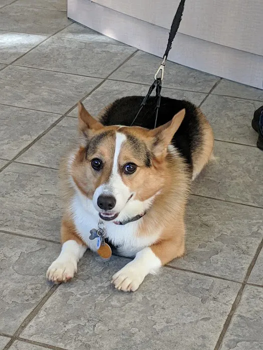 New Hope Animal Hospital Picture 9