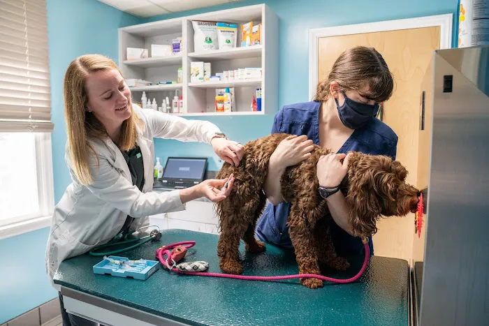 Park Veterinary Hospital & Urgent Care Picture 5